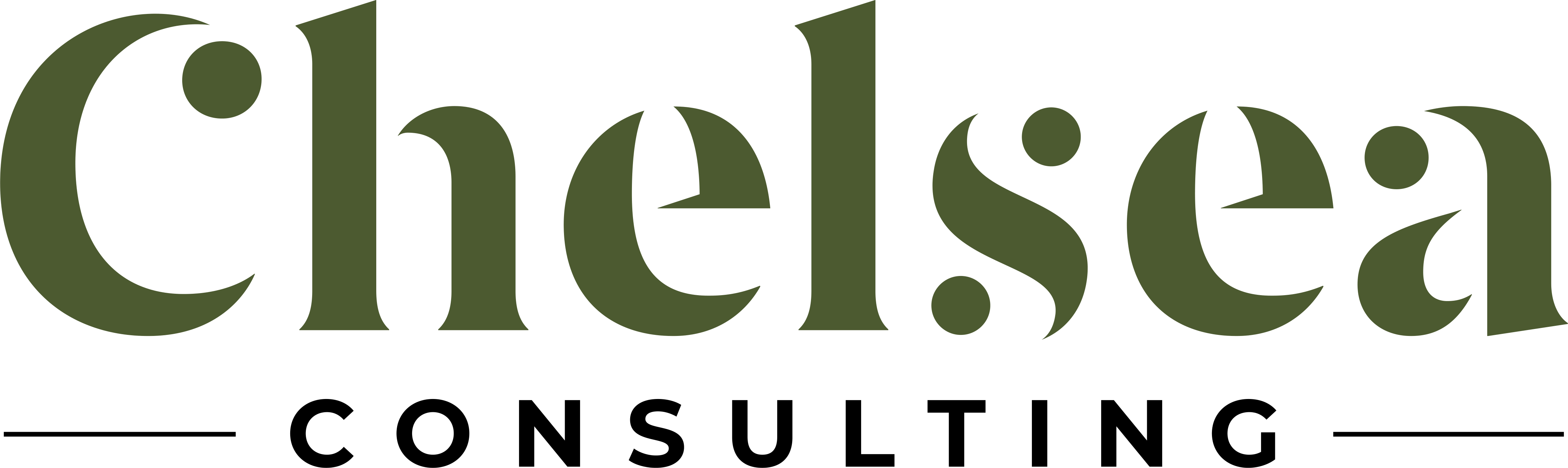 Chelsea Consulting
